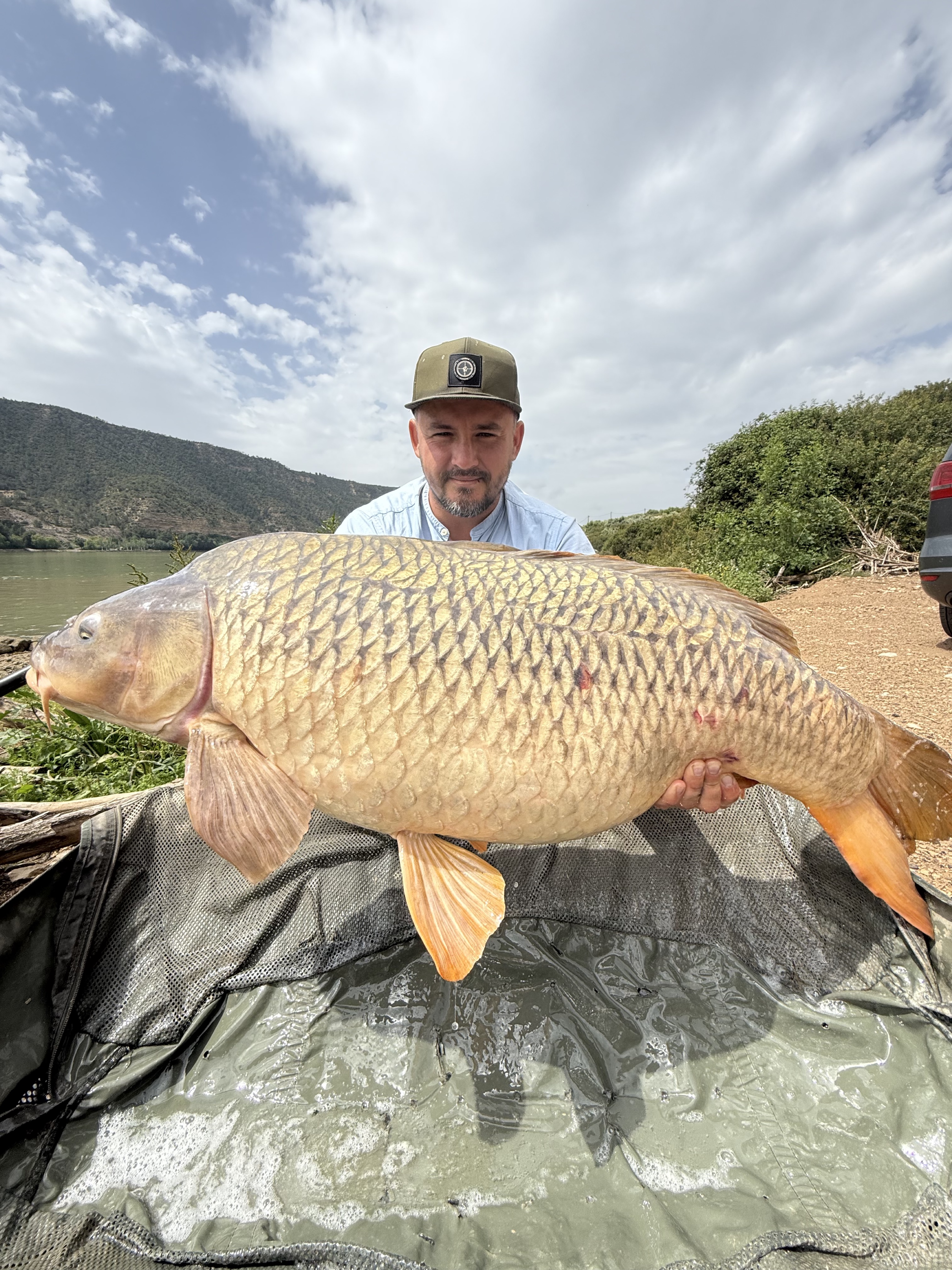 Big carp catch